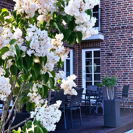 Fw Backbord Peildeck Wustrow (Fischland)