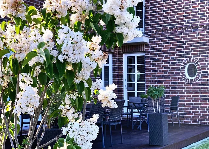 Fw Backbord Peildeck Вустров